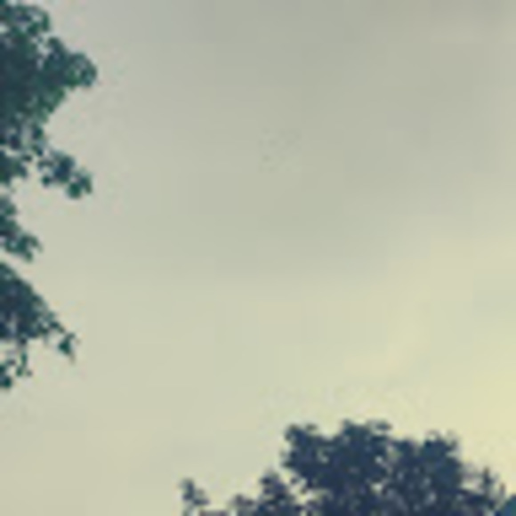 Meet your Posher, Melissa - Picture 1 of 1